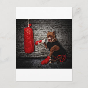 Carte Postale Le kit de boxe