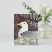 Carte Postale Le Kittiwake à pattes noires (Debout devant)