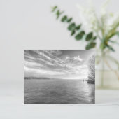 Carte Postale Le lac de Zurich (Debout devant)