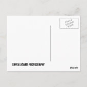 CARTE POSTALE LE LAC DES OZARKS POSTCARD (Dos)