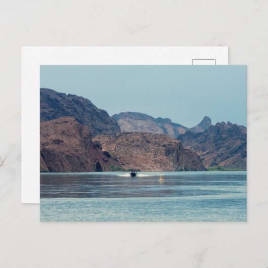 Carte Postale Le lac Havasu (Devant / Derrière)