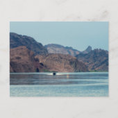 Carte Postale Le lac Havasu (Devant)