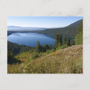 Carte Postale Le lac III de Phelps au parc national de Grand Tet