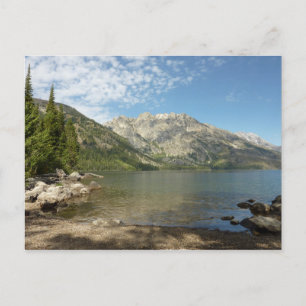Carte Postale Le lac Jenny dans le parc national de Grand Teton