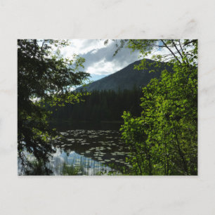 Carte Postale Le lac Johns I au parc national de Glacier