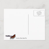 Carte Postale Le lac Johns II du parc national Glacier (Dos)