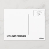 CARTE POSTALE LE LAC OZARK (Dos)