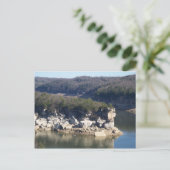 Carte Postale Le lac Summersville (Debout devant)