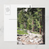 Carte Postale Le lac Tahoe (Devant / Derrière)