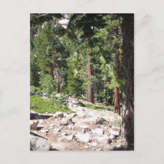 Carte Postale Le lac Tahoe