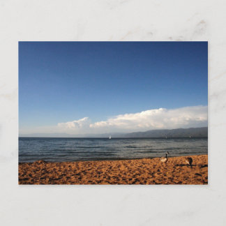 Carte Postale Le lac Tahoe