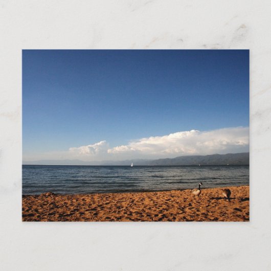 Carte Postale Le lac Tahoe (Devant)