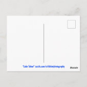 Carte Postale Le lac Tahoe (Dos)