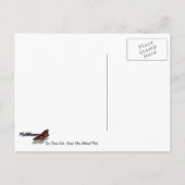 Carte Postale Le lac Two Ocean du parc national de Grand Teton (Dos)