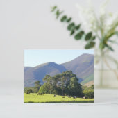 Carte Postale Le Lake District-Keswick (Debout devant)