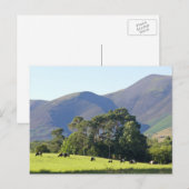 Carte Postale Le Lake District-Keswick (Devant / Derrière)