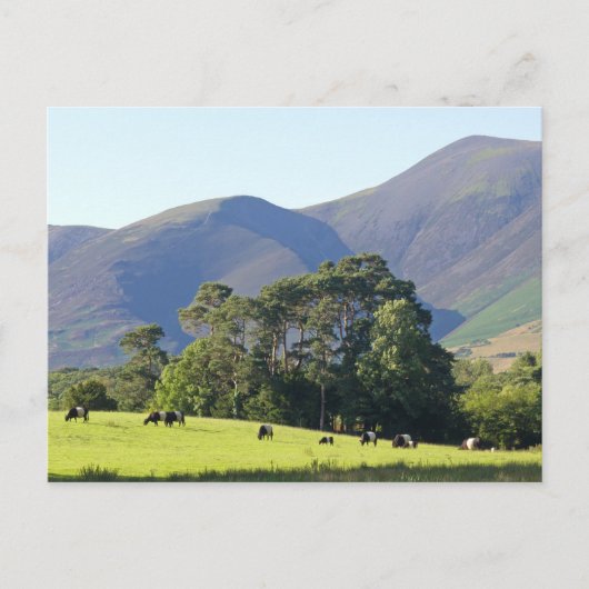 Carte Postale Le Lake District-Keswick (Devant)