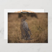 Carte Postale Le Léopard Dans Le Far (Devant / Derrière)