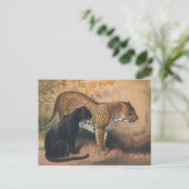 Carte Postale Le léopard de Joseph Wolf (Debout devant)