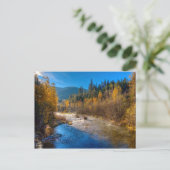 CARTE POSTALE LE LEVER SACRAMENTO (Debout devant)