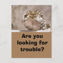 Le Lézard de l'humour