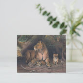 Carte Postale Le lion de Joseph Wolf (Debout devant)