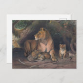 Carte Postale Le lion de Joseph Wolf (Devant / Derrière)