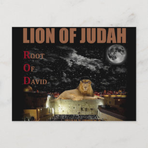 Carte Postale Le Lion De Juda Sur Le Mur Occidental