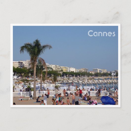 Carte Postale le littoral de cannes (Devant)