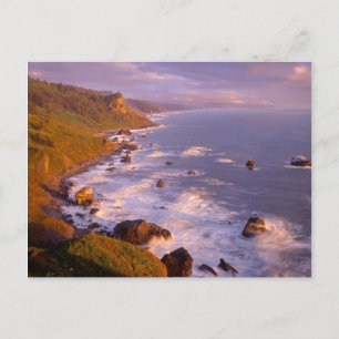 Carte Postale Le littoral des séquoias, Californie