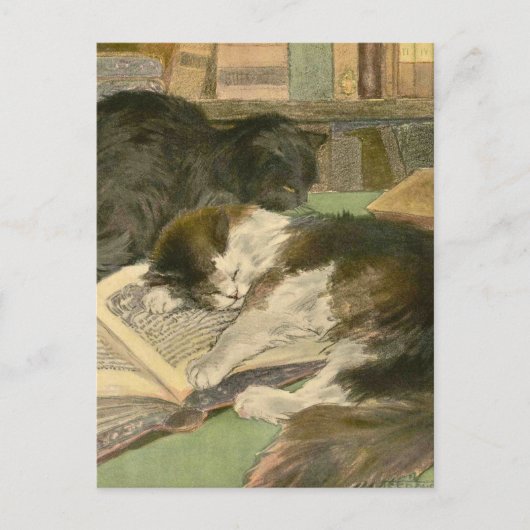 Carte Postale Le livre du chat : Grand panjandrum (Devant)