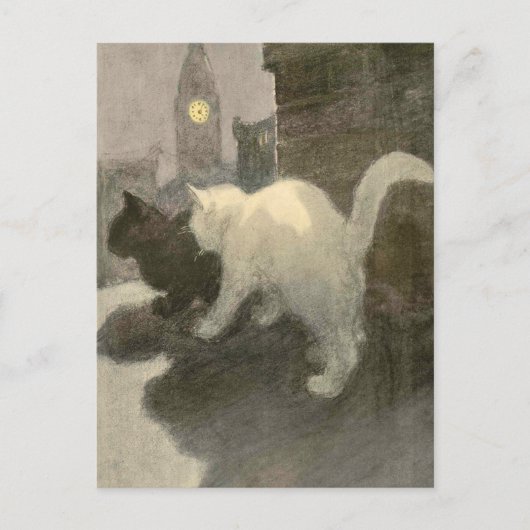 Carte Postale Le livre du chat : Une Nuit (Devant)