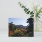 Carte Postale Le long de la route - Canyons du sentier (Debout devant)