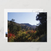 Carte Postale Le long de la route - Canyons du sentier (Devant / Derrière)