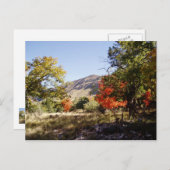 Carte Postale Le long de la route - Prairie (Devant / Derrière)