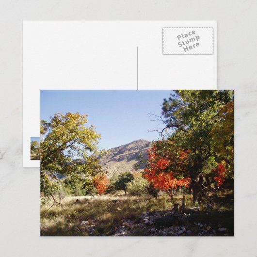 Carte Postale Le long de la route - Prairie (Devant / Derrière)