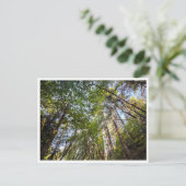 Carte Postale Le long du sentier (Debout devant)