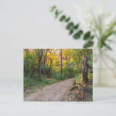 Carte Postale le long du sentier forestier sinueux des collines (Debout devant)