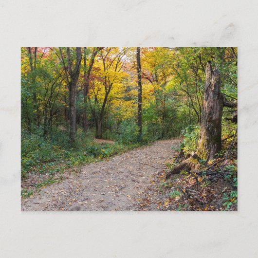 Carte Postale le long du sentier forestier sinueux des collines (Devant)