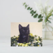 Carte Postale "Le Look" Kitten noir (Debout devant)