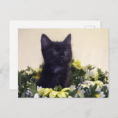 Carte Postale "Le Look" Kitten noir (Devant / Derrière)