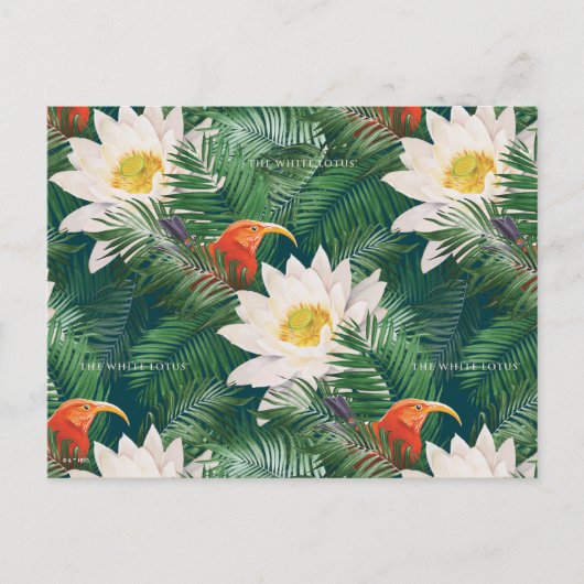 Carte Postale Le Lotus Blanc Oiseaux Tropicaux & Motif de Lotus (Devant)