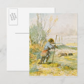 Carte Postale Le loup en berger (Devant / Derrière)