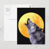 Carte Postale Le loup hurle à la pleine lune (Devant / Derrière)