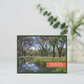 Carte Postale Le magnifique parc du Texas (Debout devant)