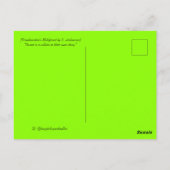 Carte Postale Le malheur de Frankenstein (Dos)