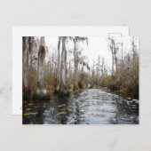Carte Postale Le marais d'Okefenokee, Géorgie (Devant / Derrière)