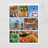 Carte Postale Le marché agricole (Devant)