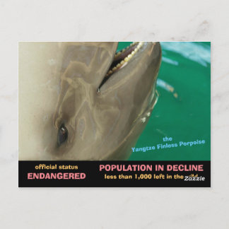Carte Postale Le marsouin sans fin du Yangtze est en danger, voi