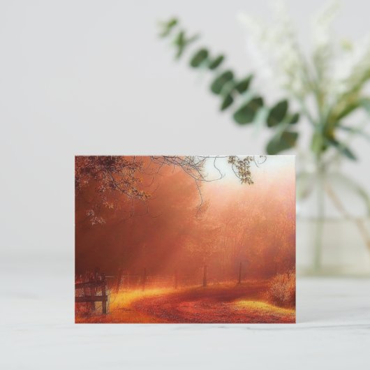 Carte Postale Le Matin A Éclaté (Debout devant)